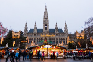 Mercado Navidad Viena
