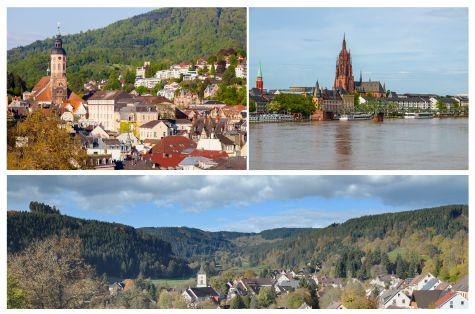 circuito-bus-vuelta-por-la-selva-negra.