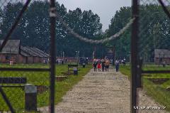 auschwitz polonia