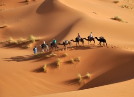 Desierto del Sahara