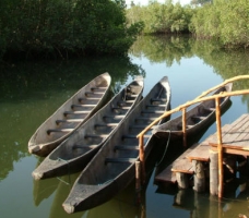 Viajar a Gambia - Aventuras por el Rio Gambia