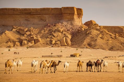 Arabia Saudí Inolvidable Fin Riad.