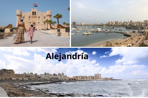 Circuito Bus Extensión Alejandría.