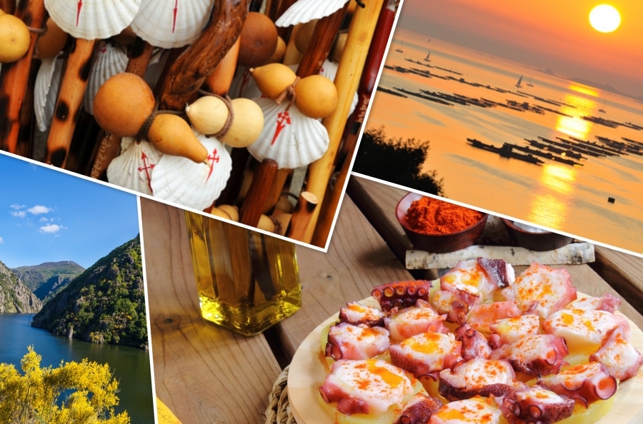 Circuito bus Galicia Gastronómico (I)