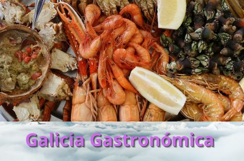 Circuito Bus Galicia gastronómico sabores del mar y de la Tierra (I)