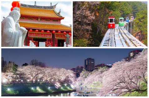 Circuito Bus Japón Soñado con Isla de Kyushu y Corea Ancestral.