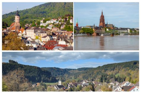 Circuito bus Vuelta por la Selva Negra.