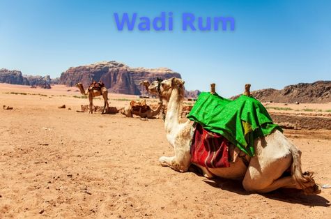 Bellezas de Arabia con Petra y Wadi Rum