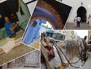 Circuito en Bus Esencias de Marruecos.