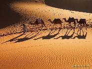 Circuito Atlas Sahara